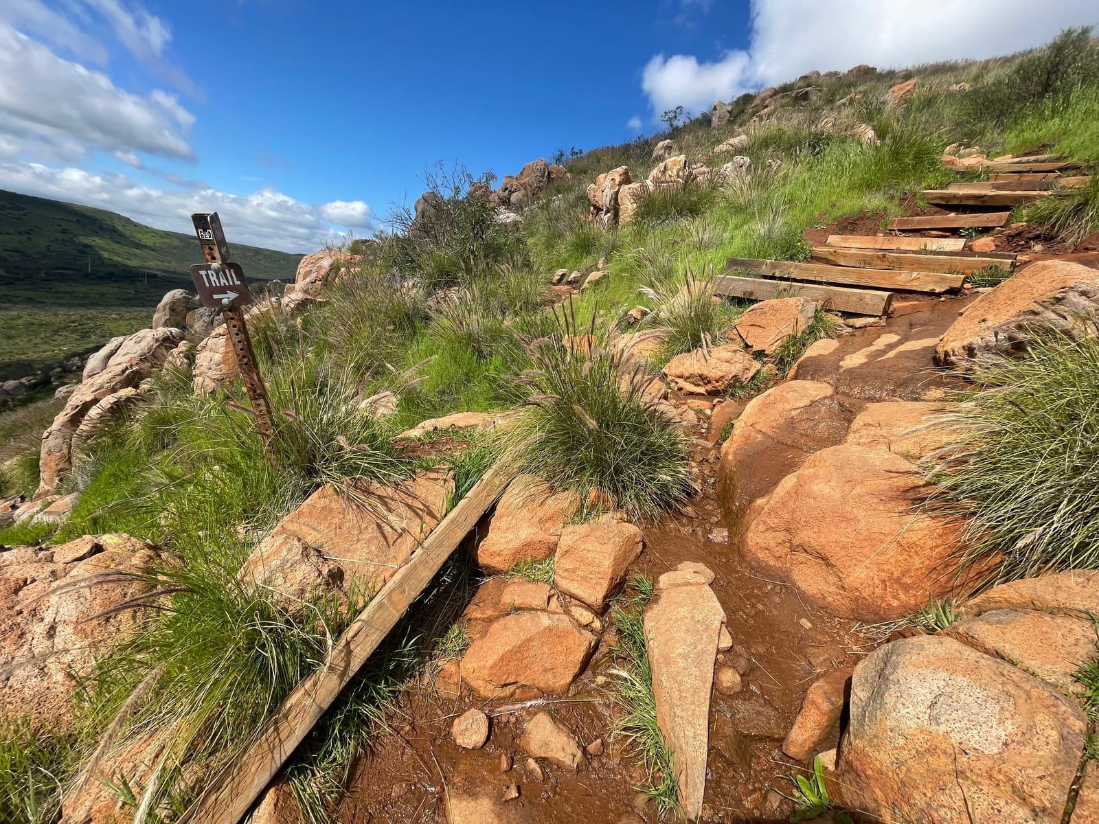 mission trails regional park
