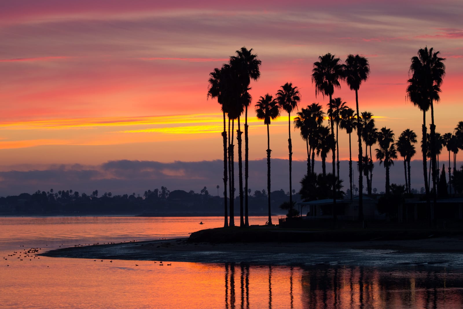 One Day Itinerary: Date Idea For Adventurous Couples In San Diego