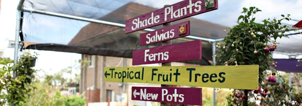 city farmers nursery