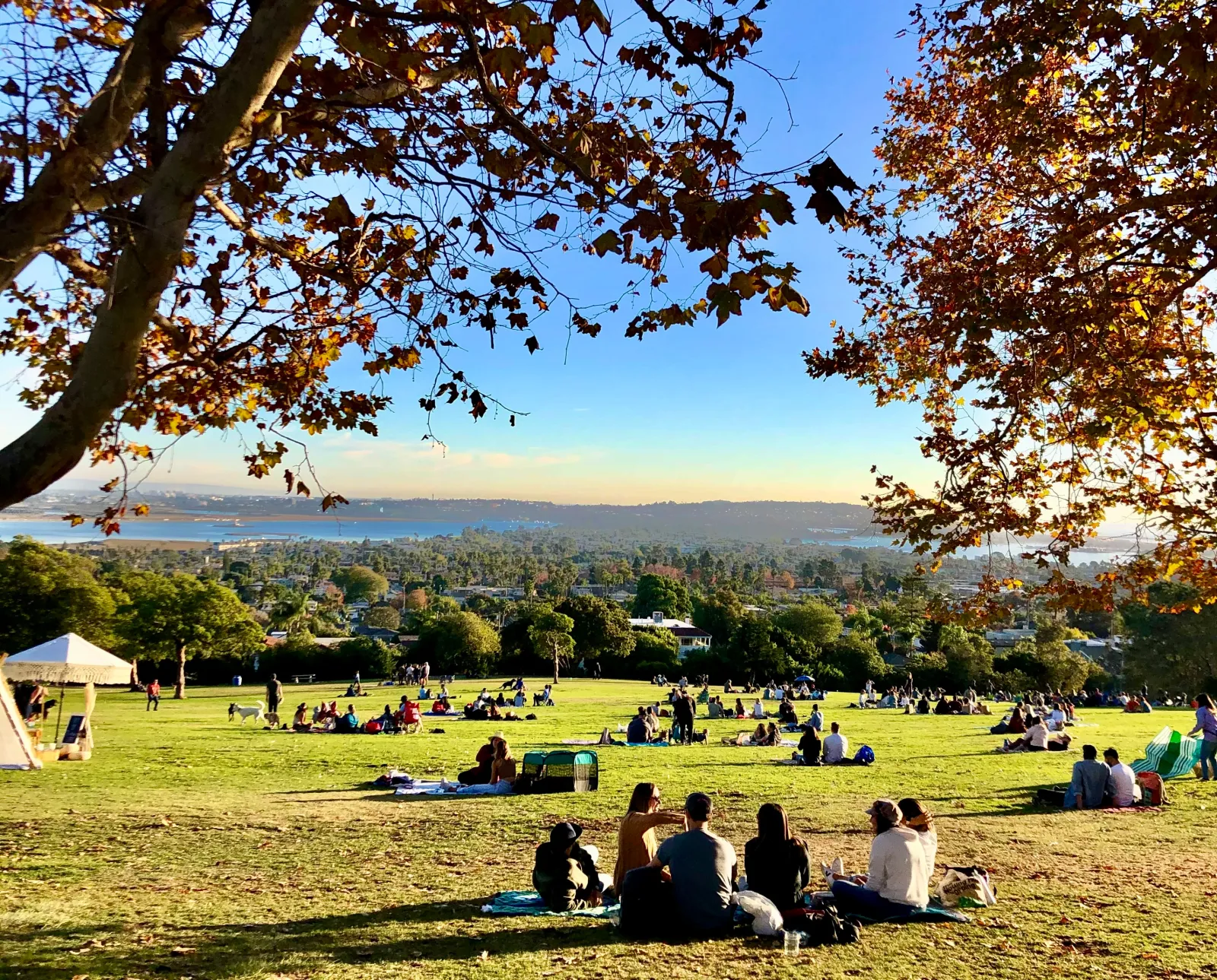 kate sessions park