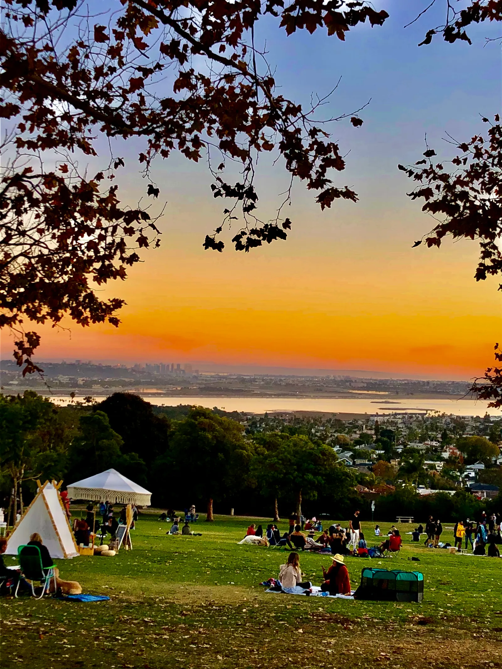 kate sessions park