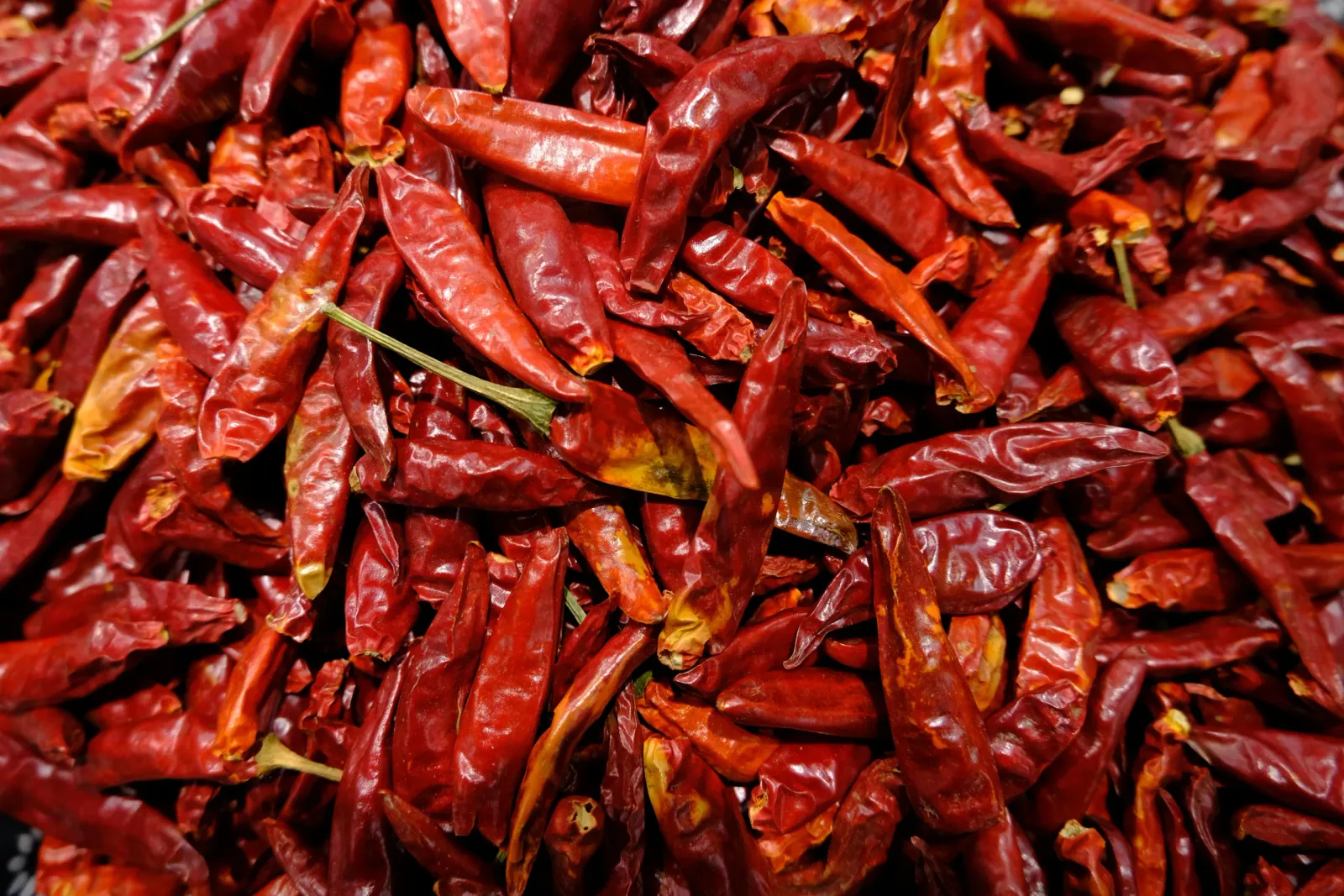 Spicy City - Convoy