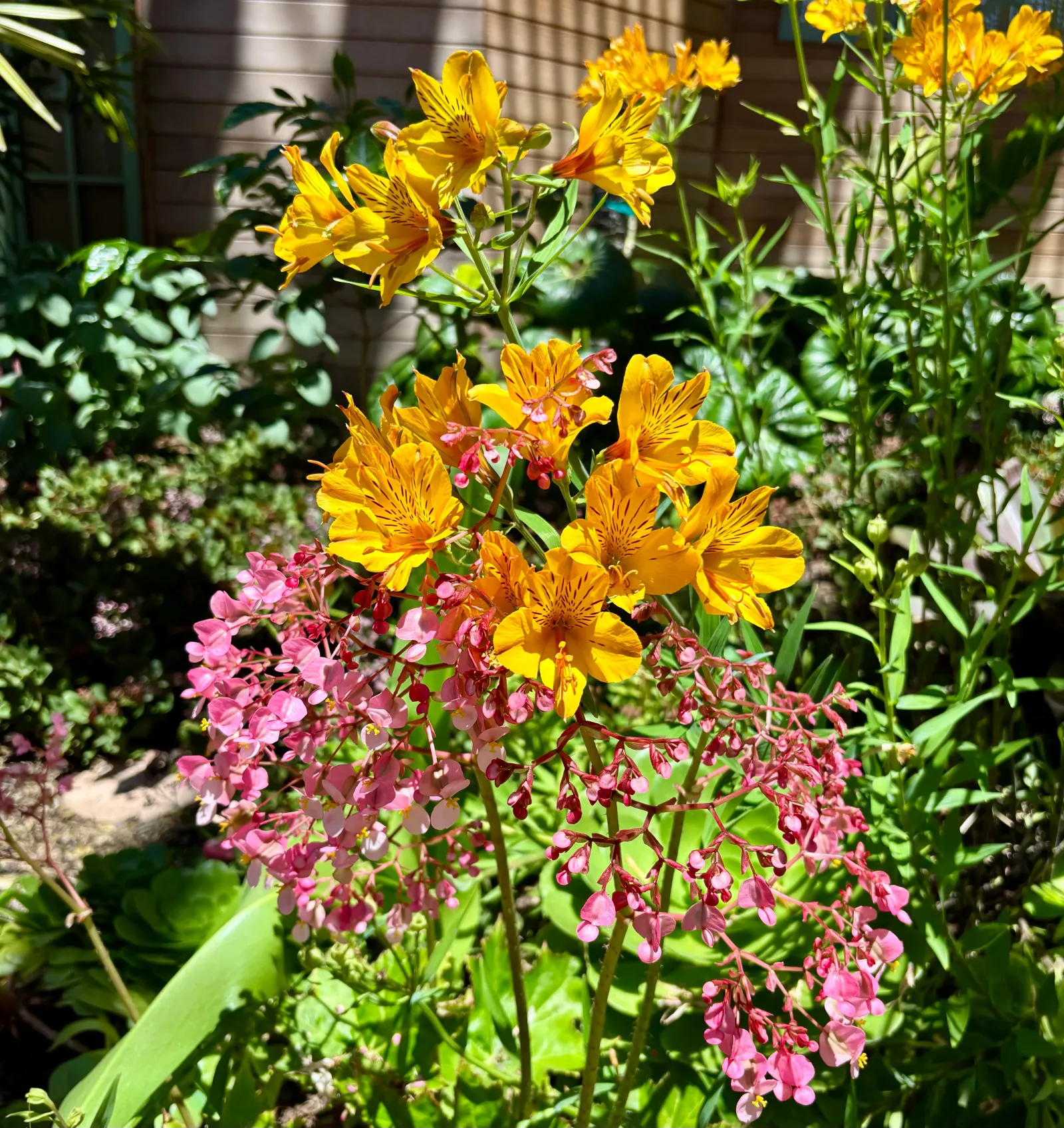 botanical building