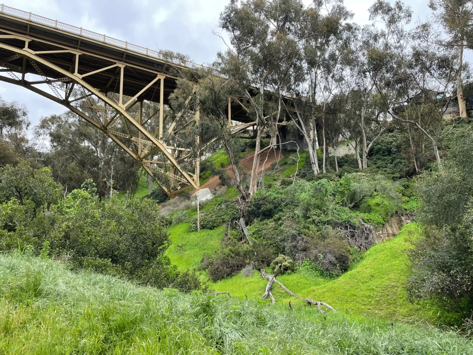 maple canyon trail