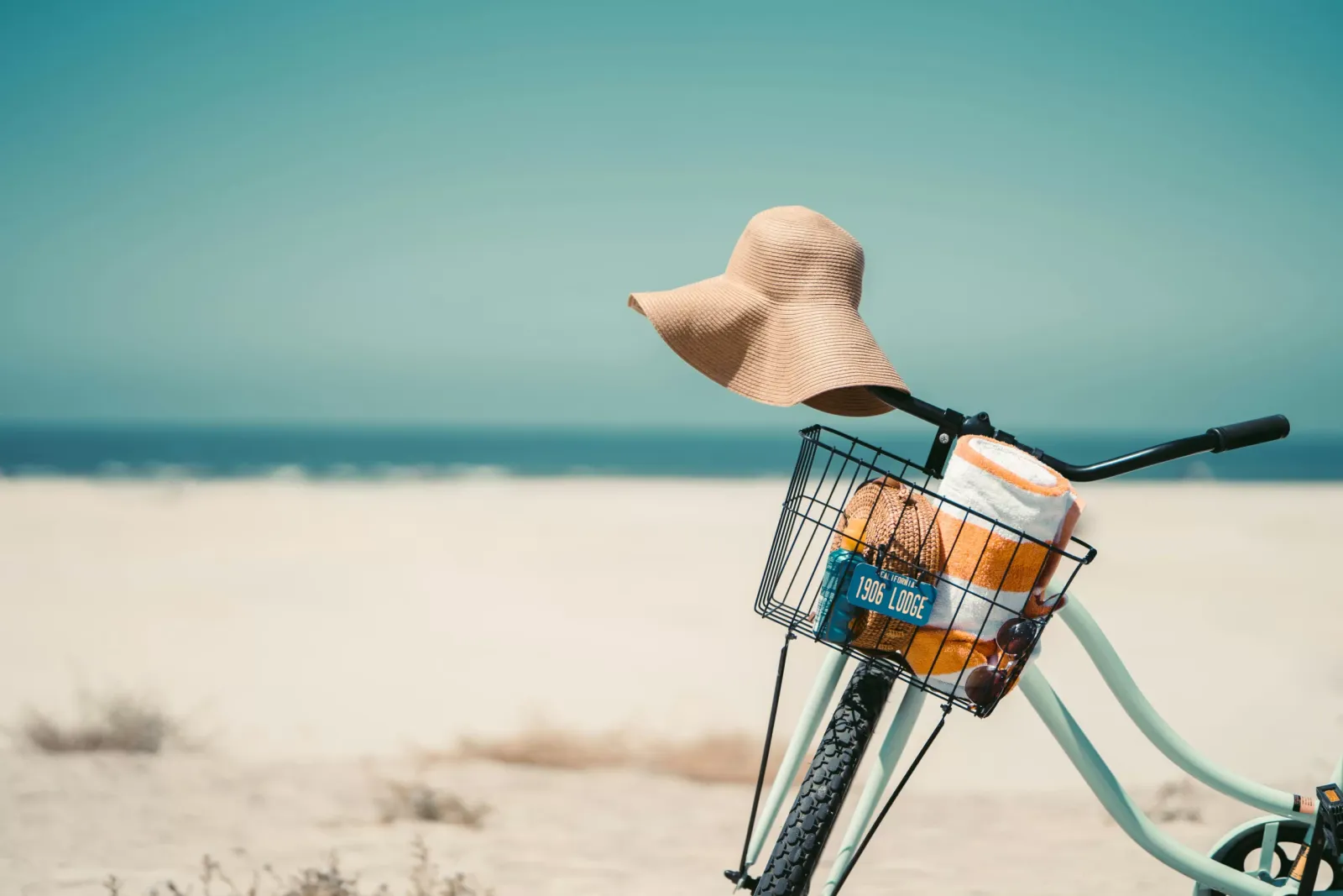 One Day Itinerary: A Sunny Bike Ride To Coronado Island