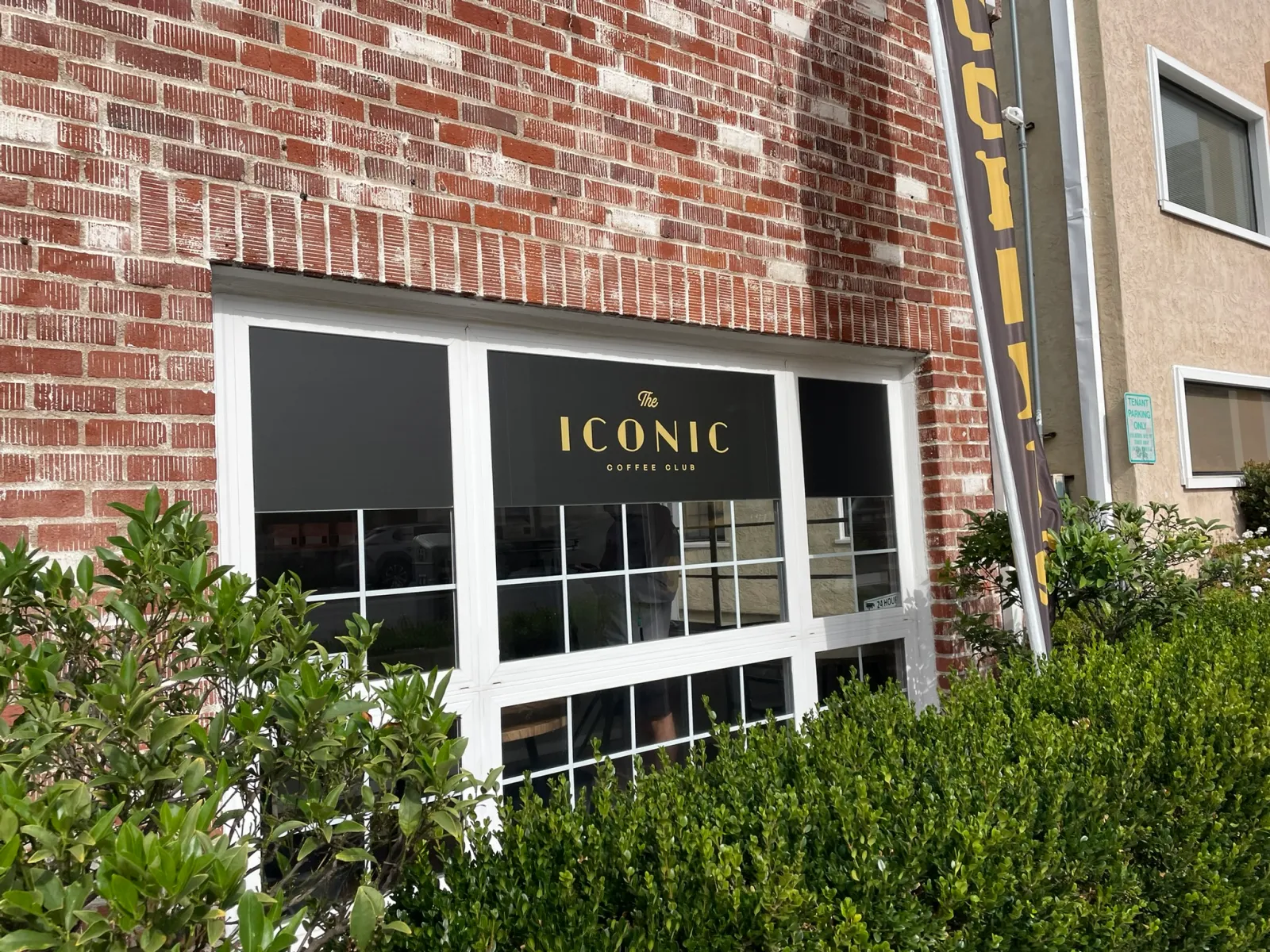 iconic coffee club