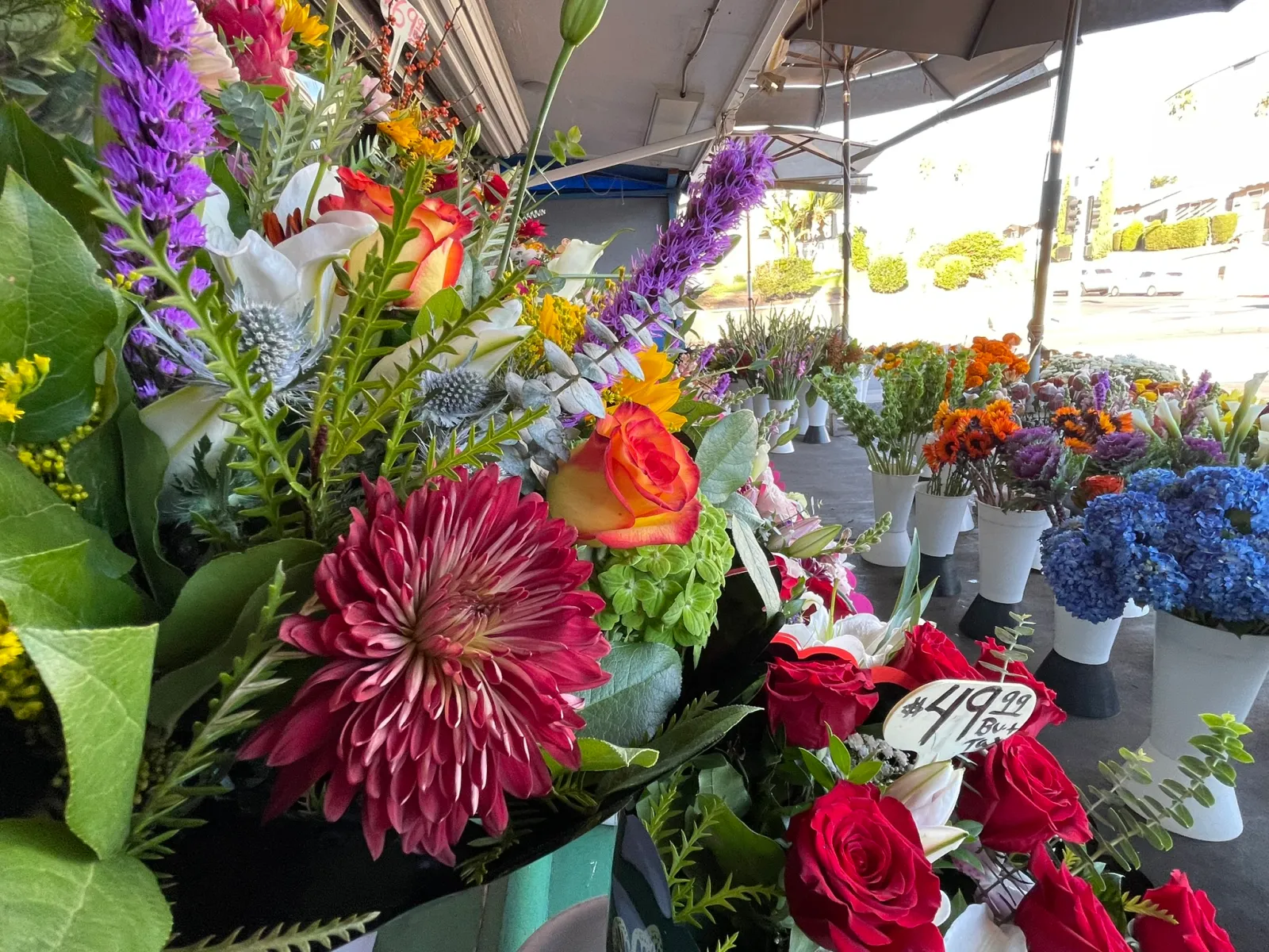 Everbloom Flowers