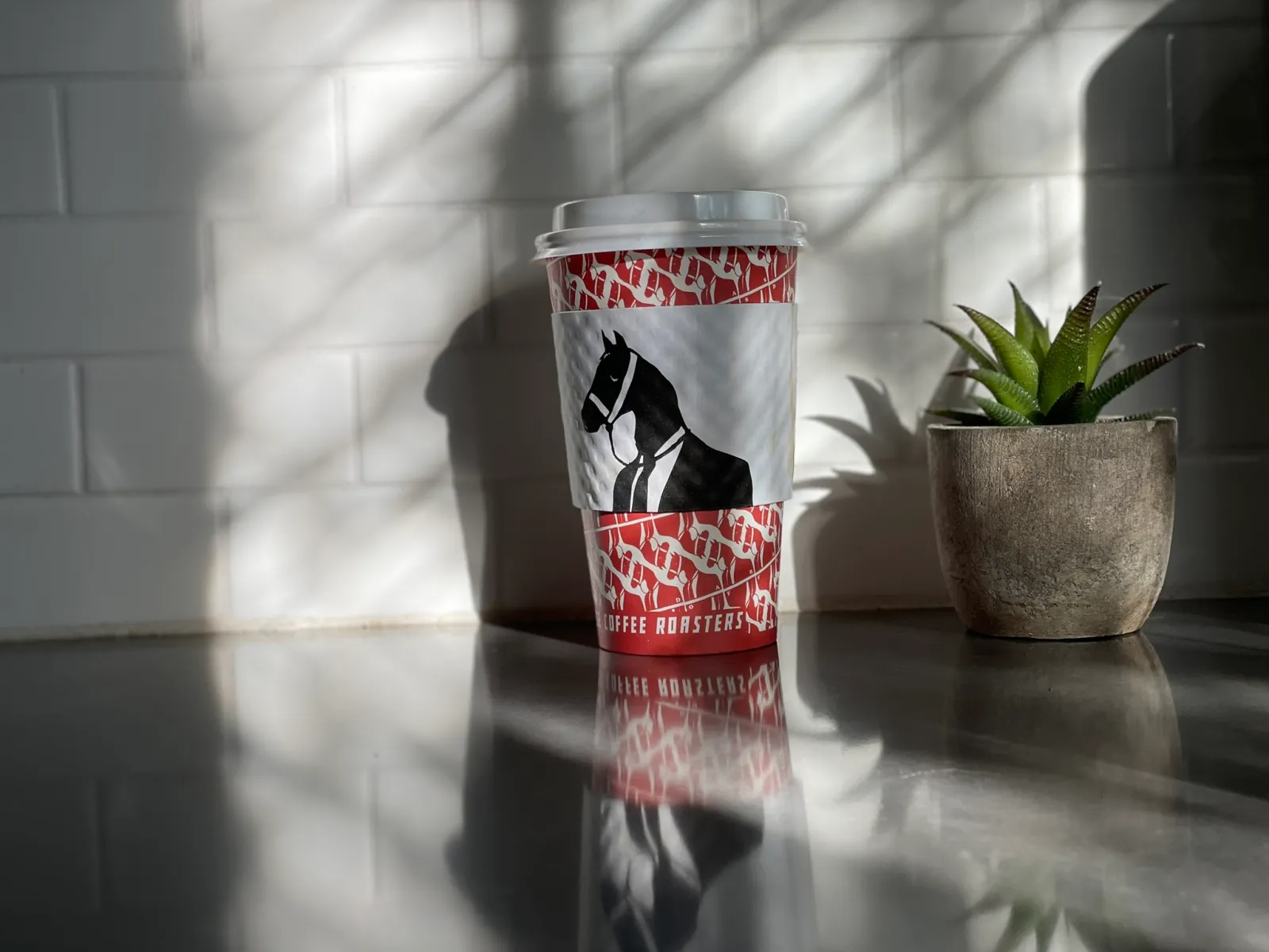 dark horse coffee