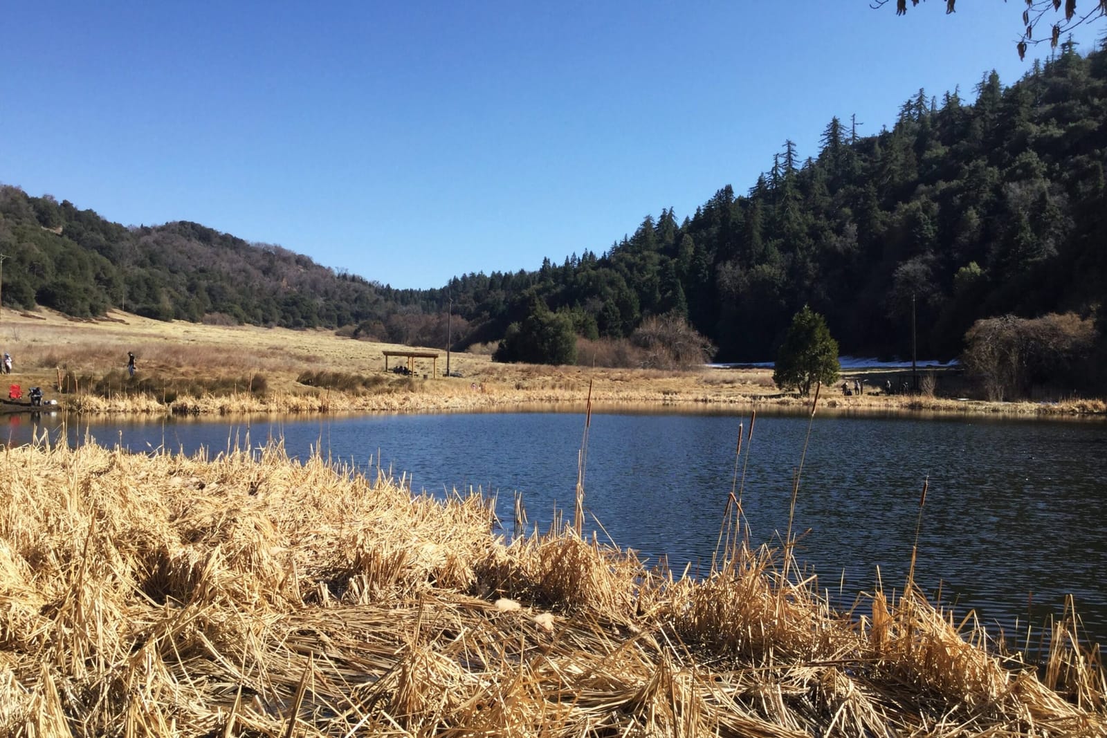 palomar mountain