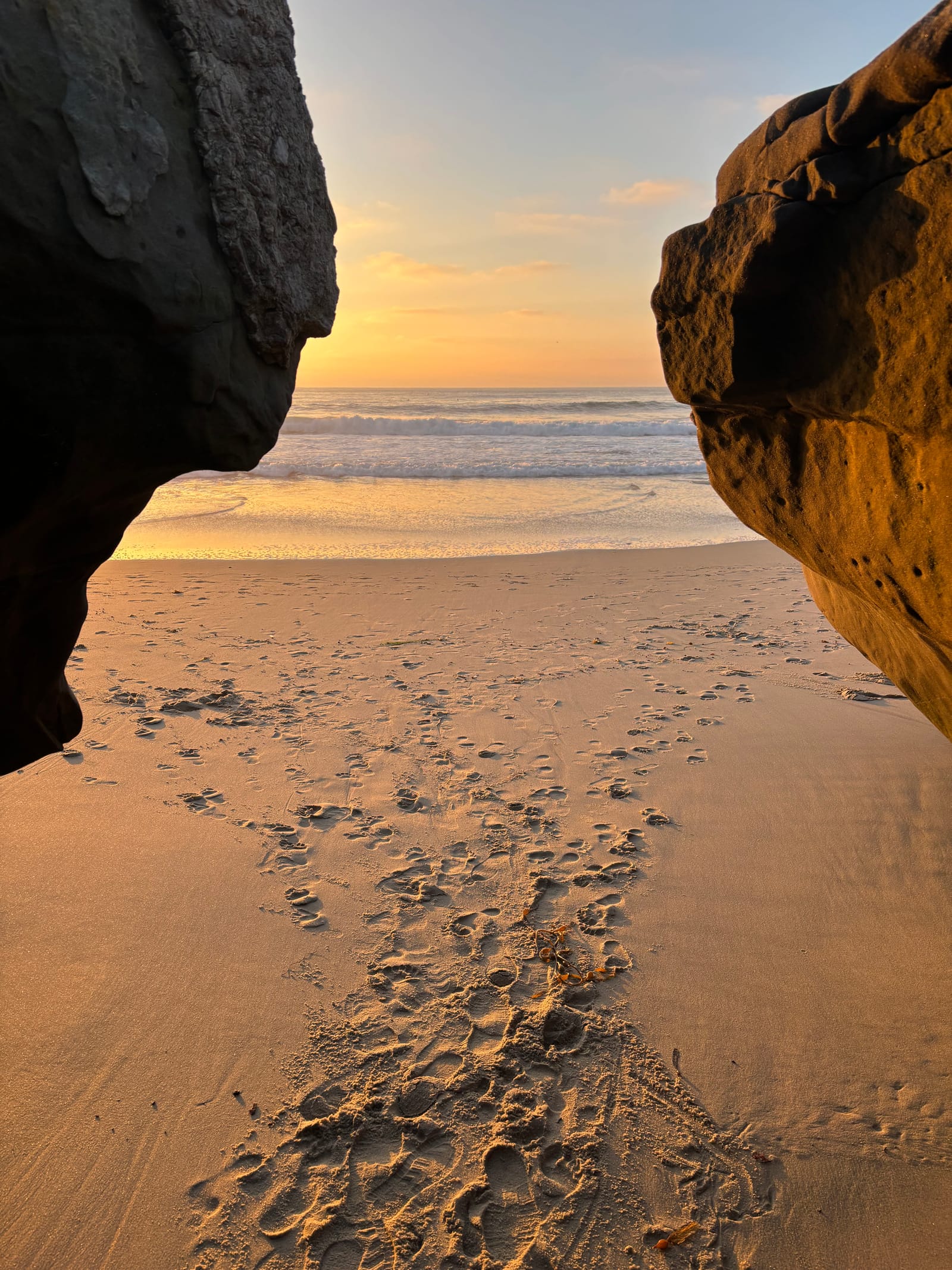 windansea beach