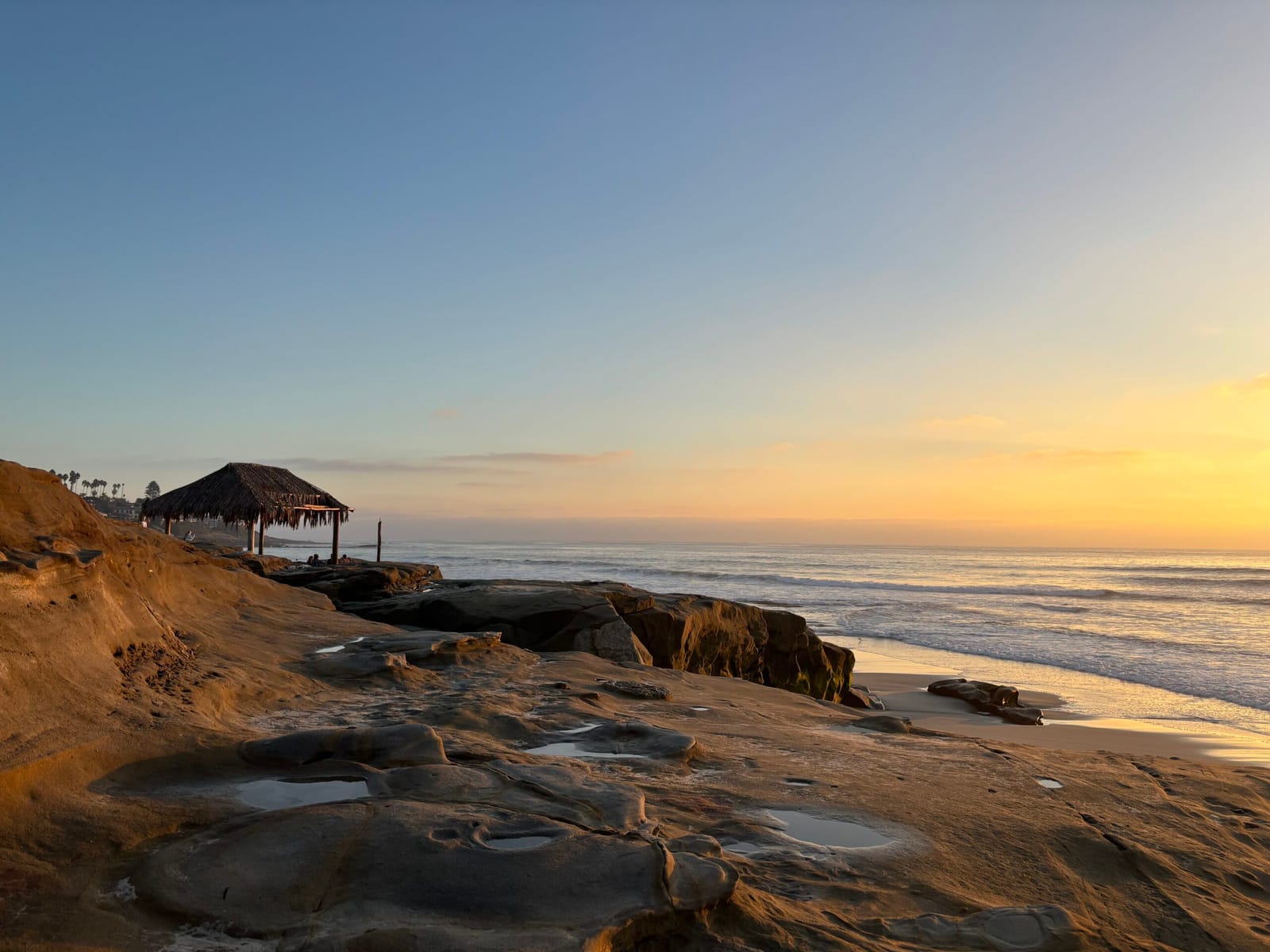 windansea beach