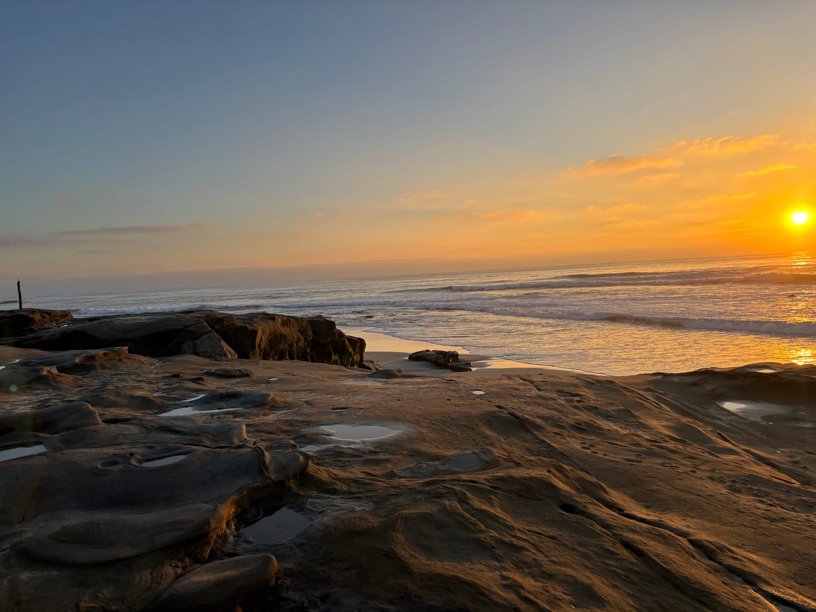 windansea beach