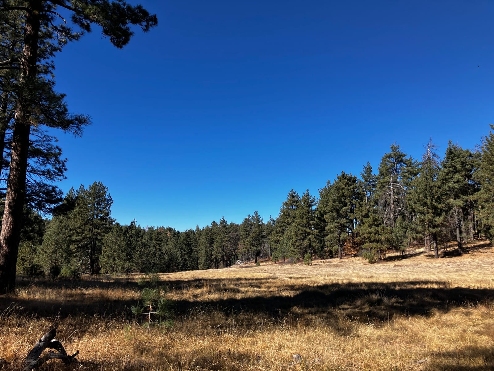 The Great Outdoors