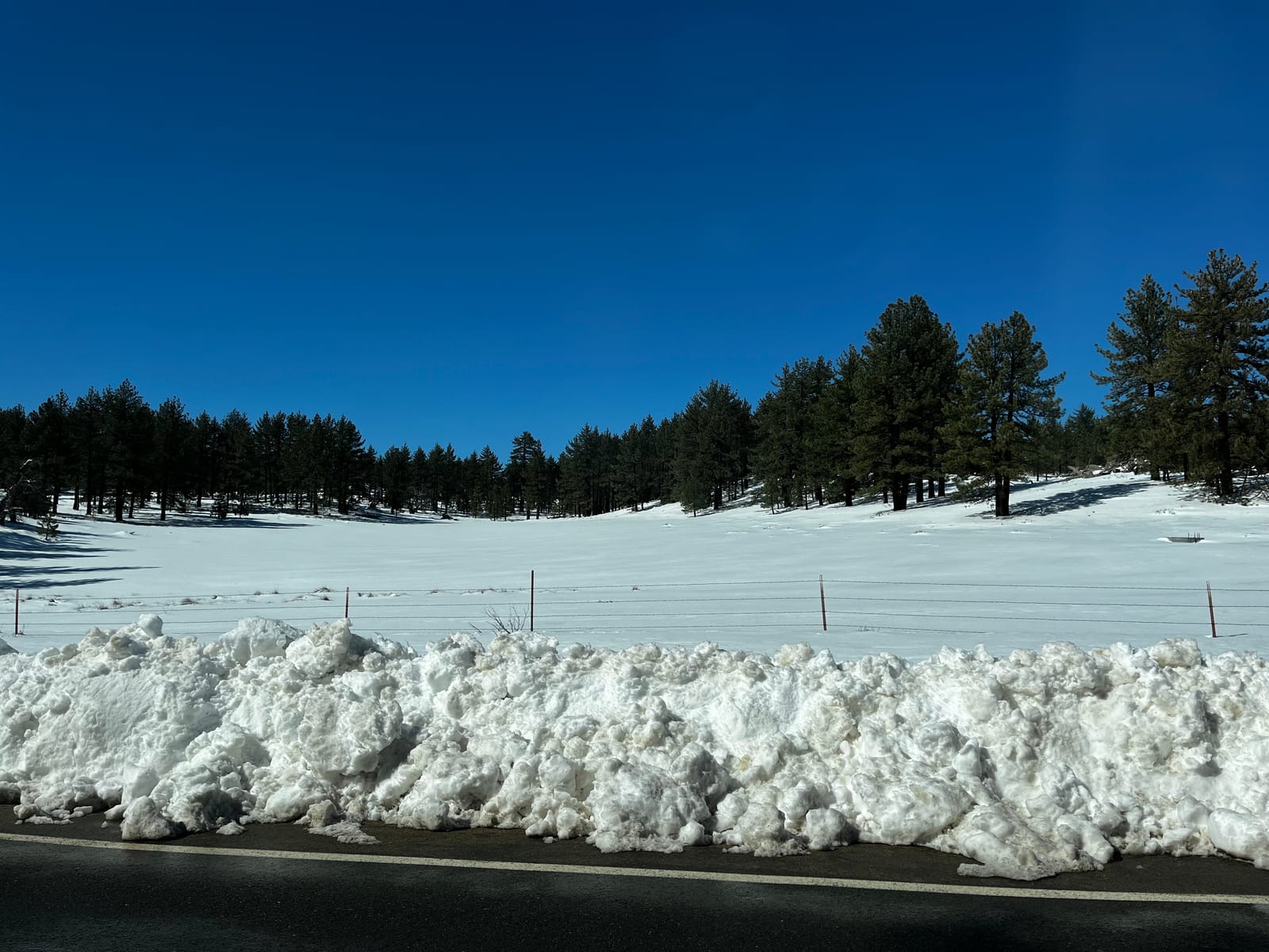 mt laguna