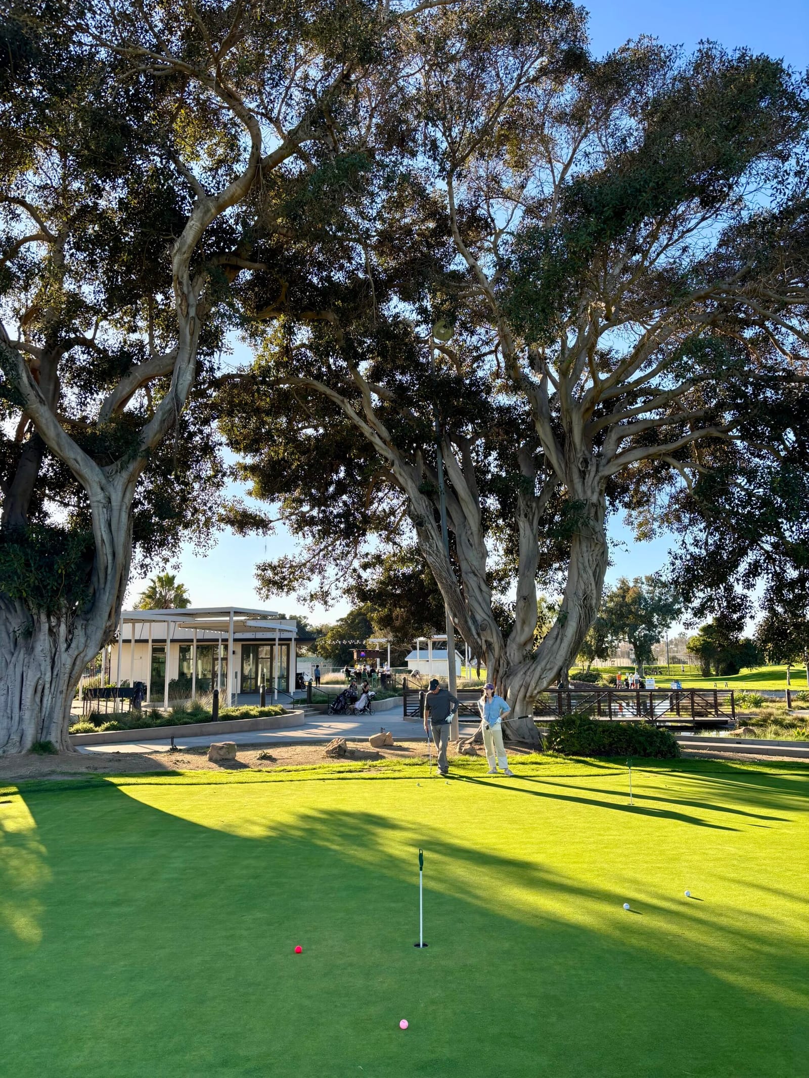 mission bay golf course