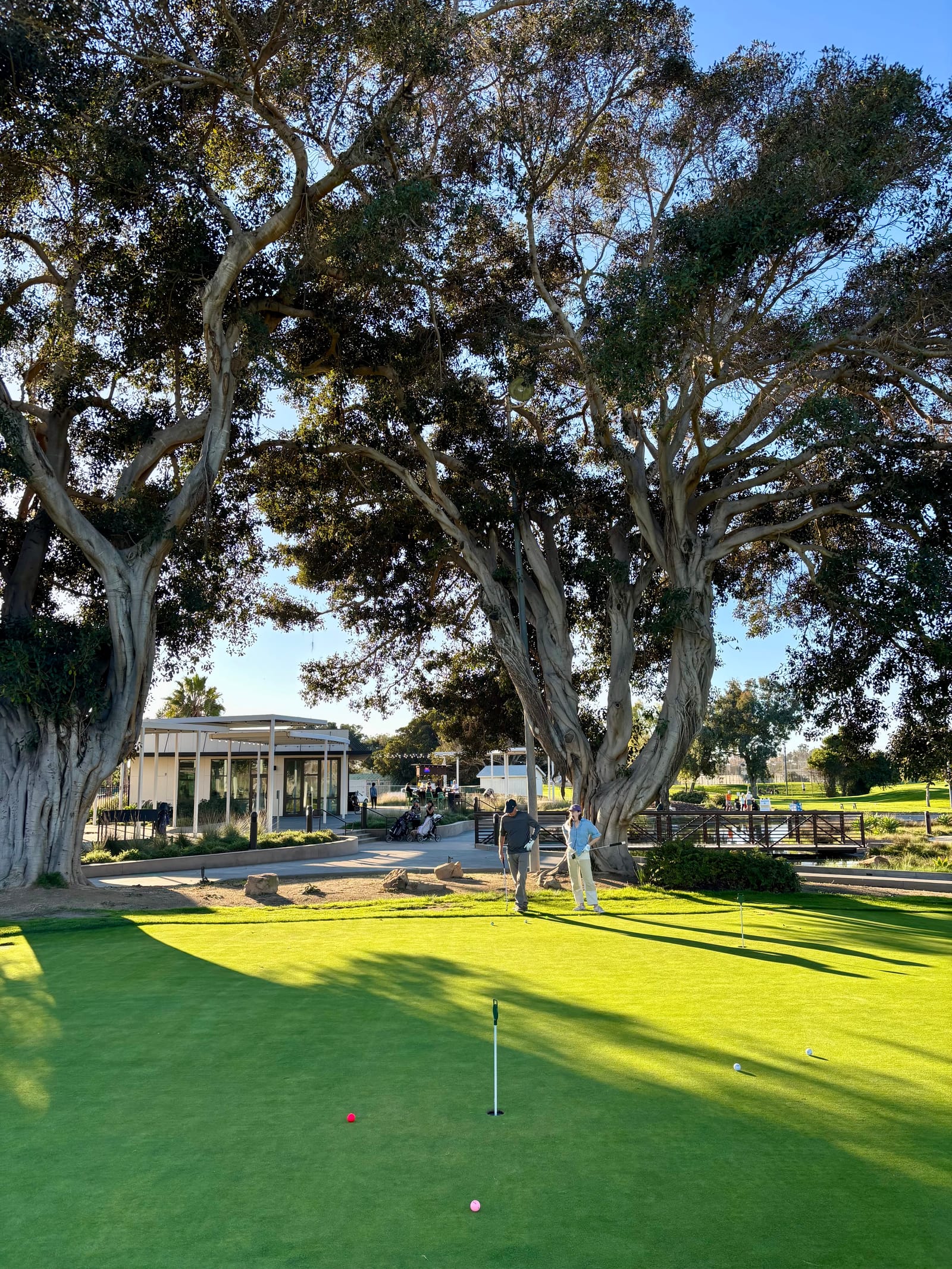 mission bay golf course