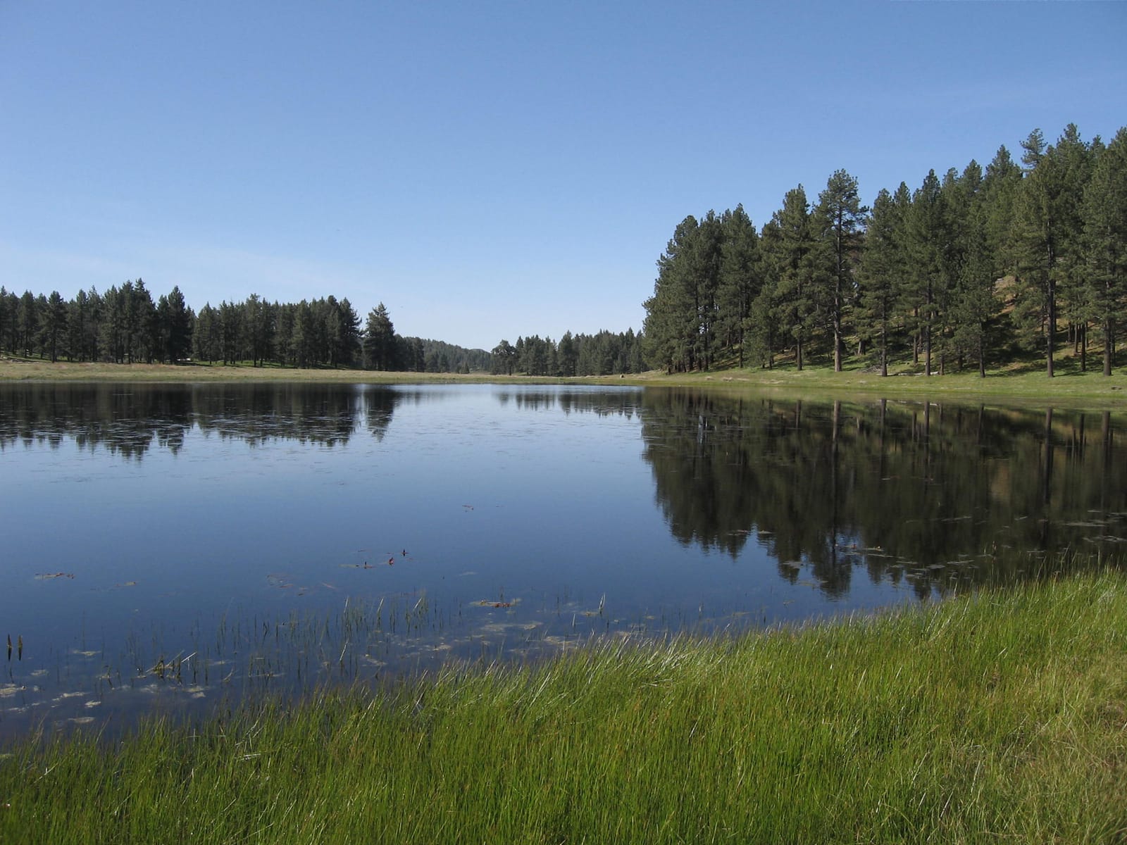 mt laguna