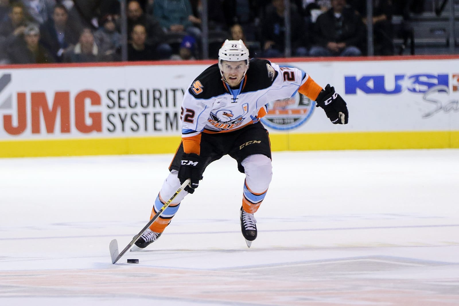 San Diego Gulls Hockey Game
