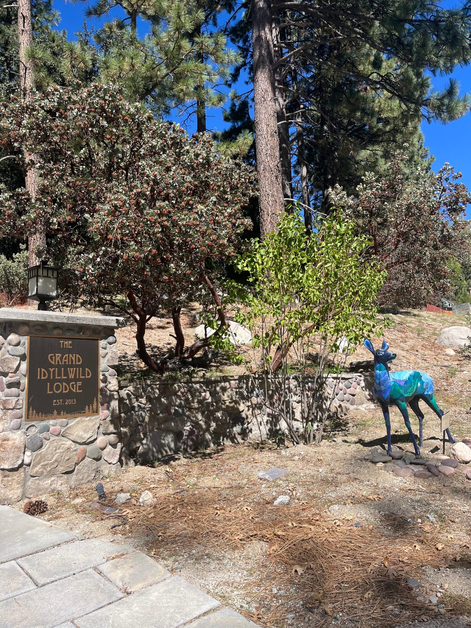 Grand Idyllwild Lodge