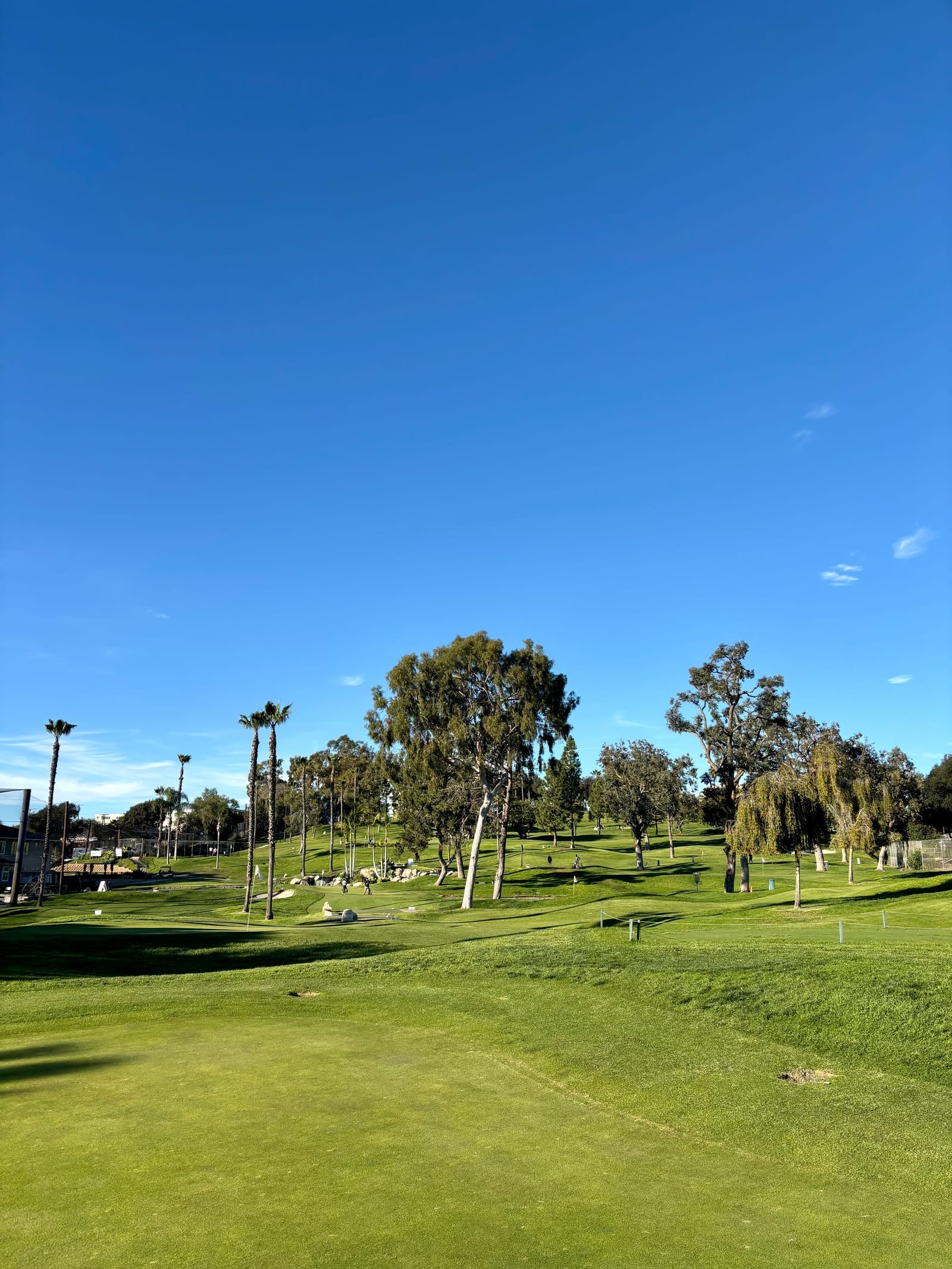 colina park golf course