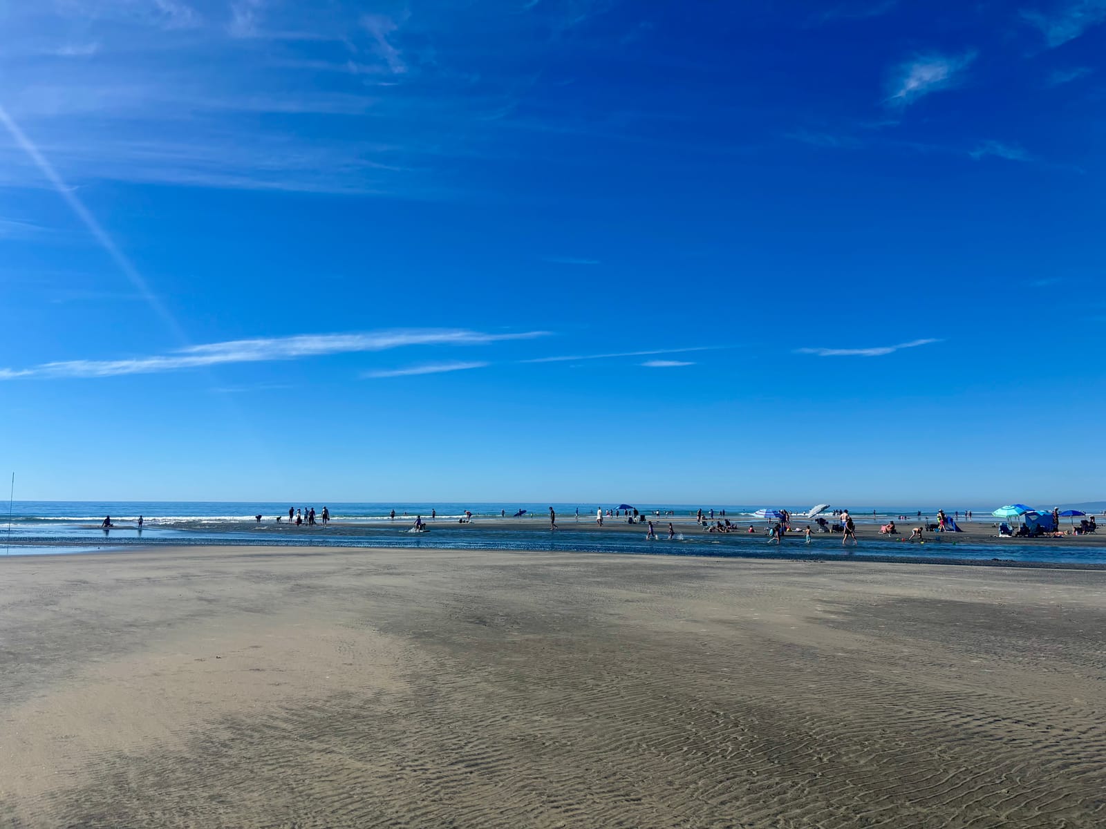 torrey pines state beach