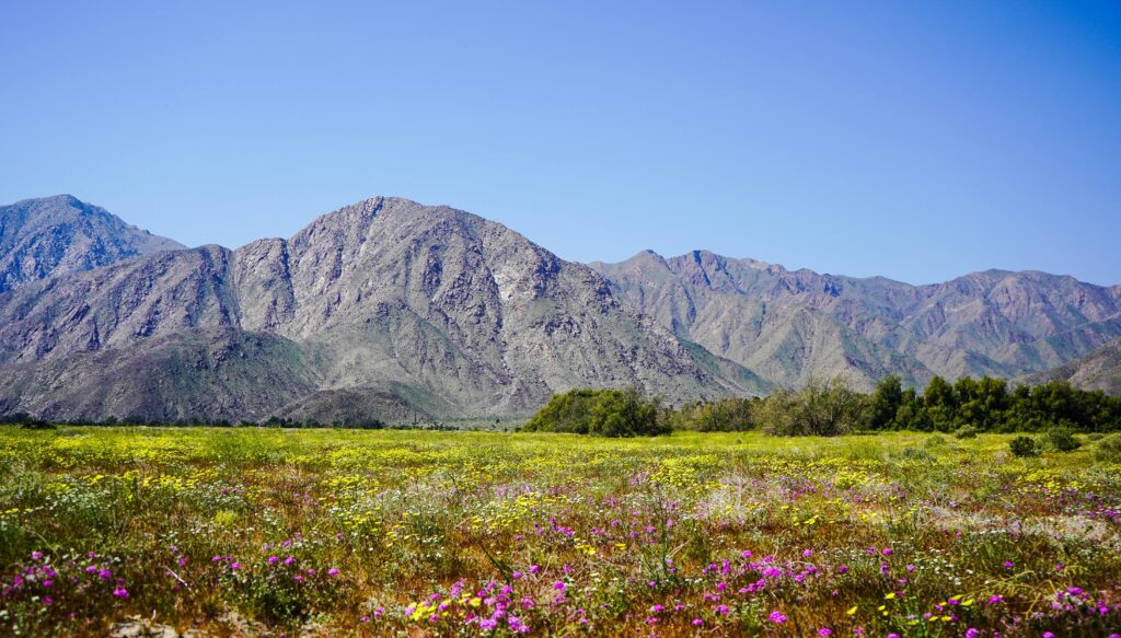 anza borrego desert state park