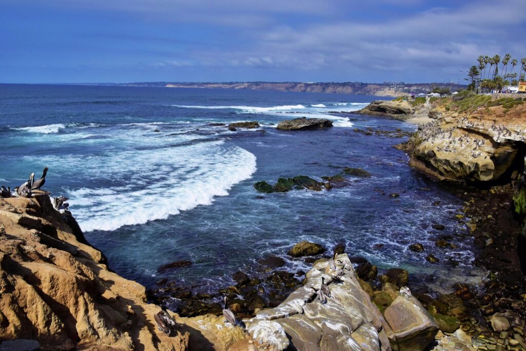 bird rock san diego