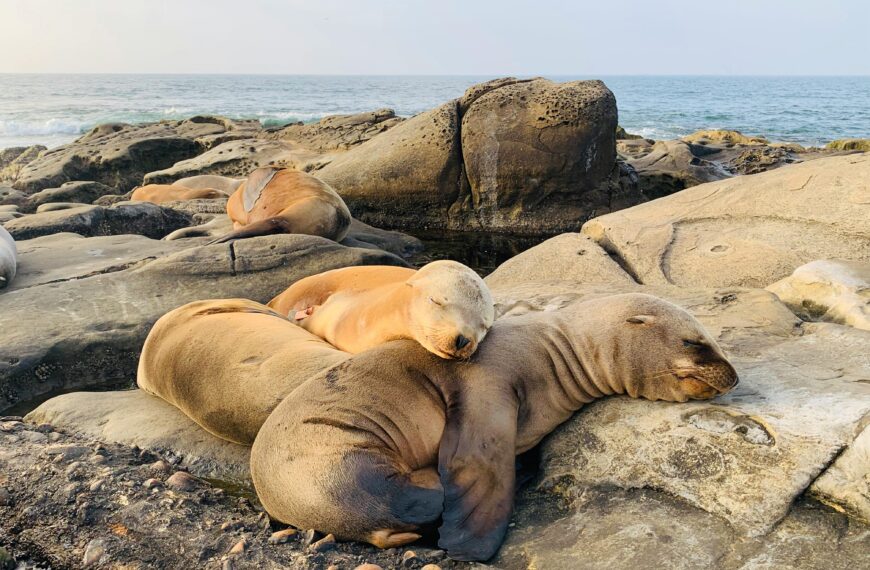 A Romantic Date Night In La Jolla